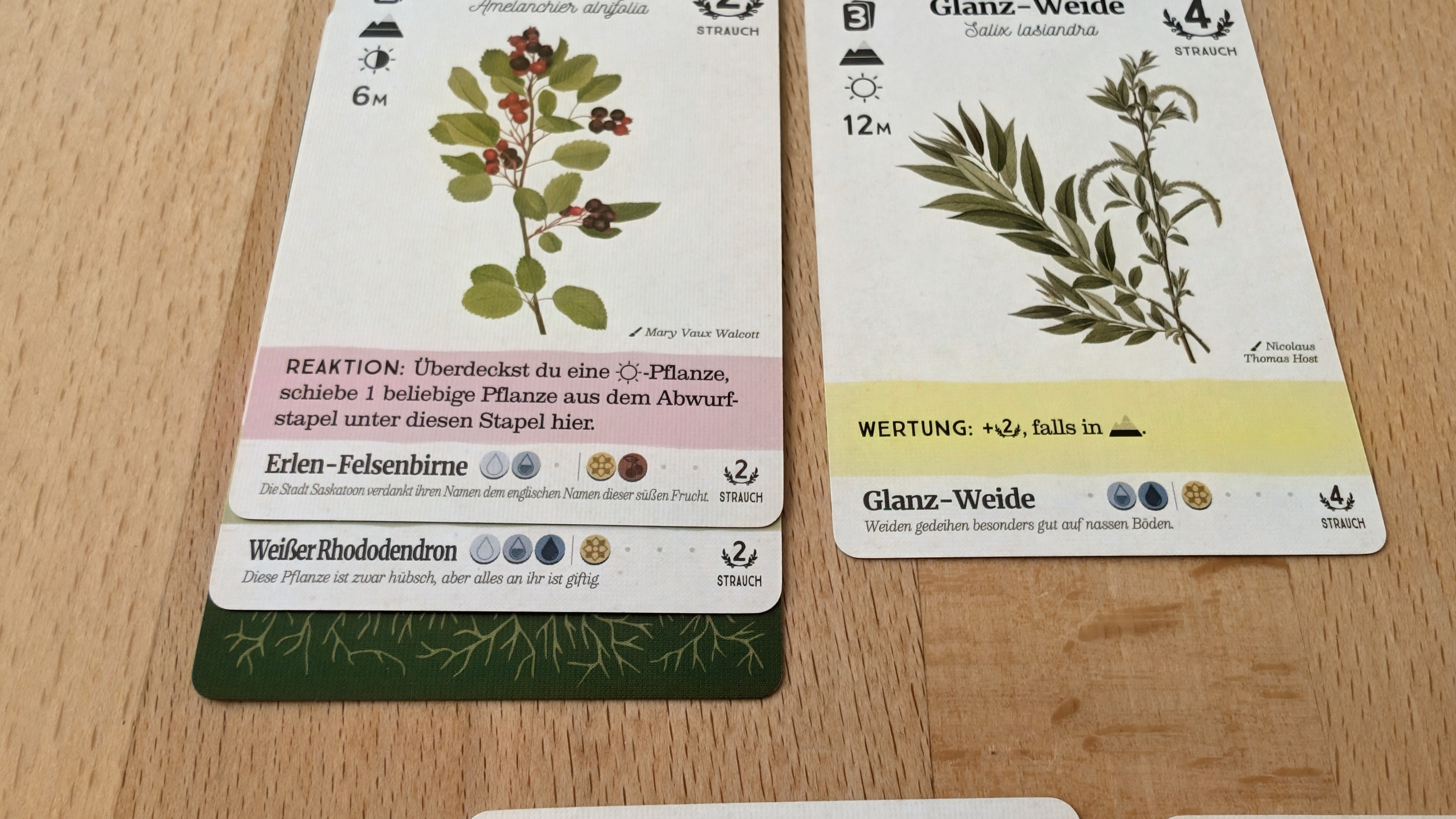 Reforest - Pflanze über Pflanze