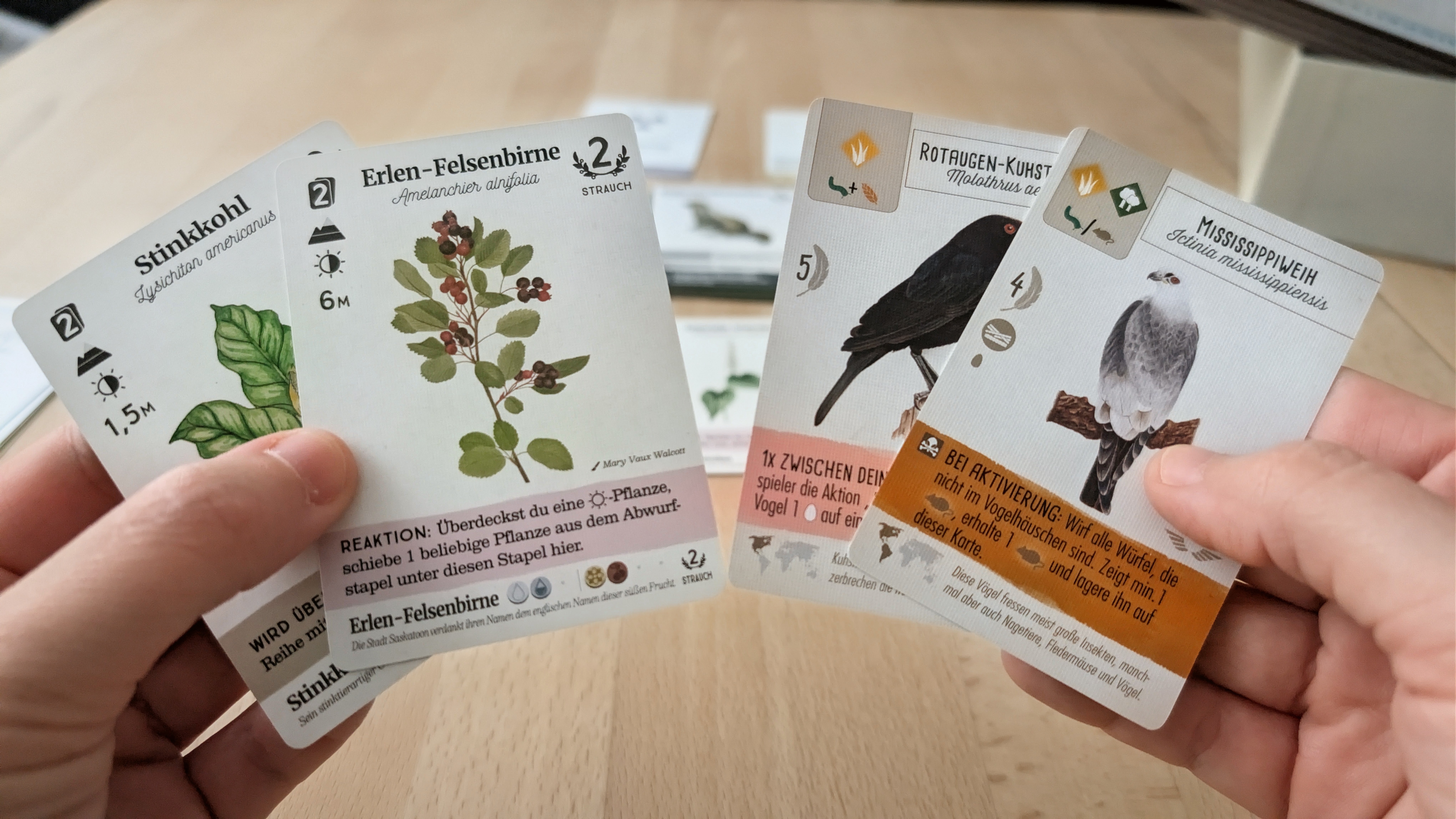 Reforest und Flügelschlag - Karten vergleichen