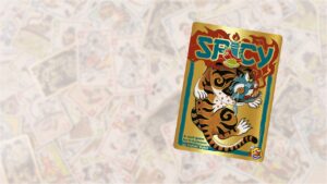 Spicy Spiel im Test: Viele Karten liegen auf dem Tisch